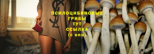 Альфа ПВП Кулебаки