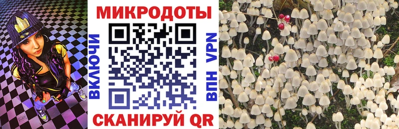 Купить  Салават  Галлюциногенные грибы Psilocybe 